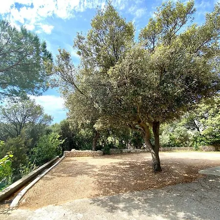 Kurelic Rab Apartment *